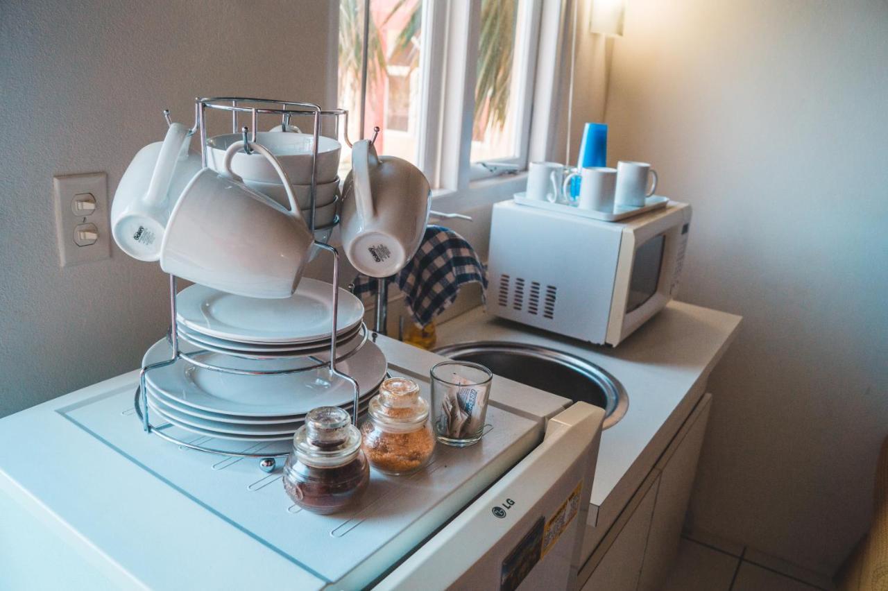 Courtesy Apartments Aruba اورانجستاد المظهر الخارجي الصورة