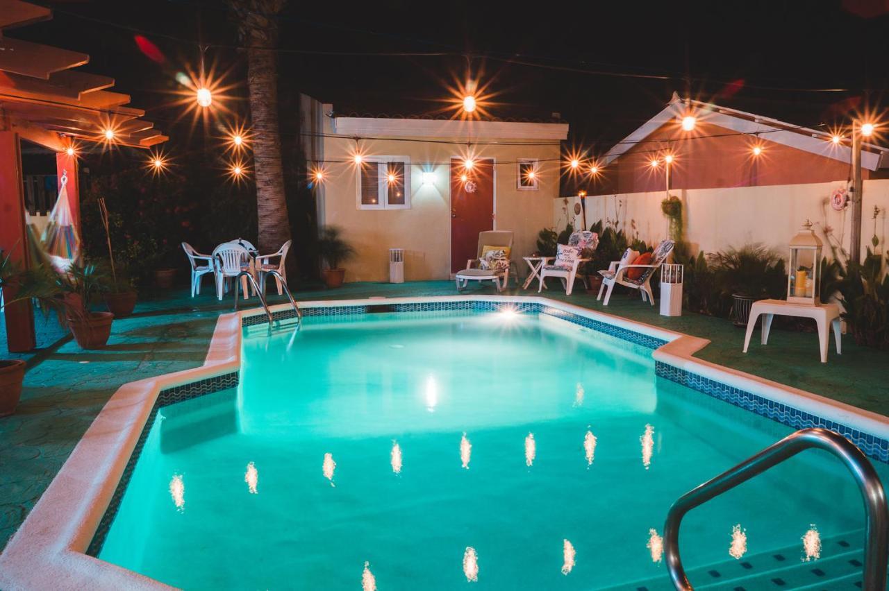 Courtesy Apartments Aruba اورانجستاد المظهر الخارجي الصورة