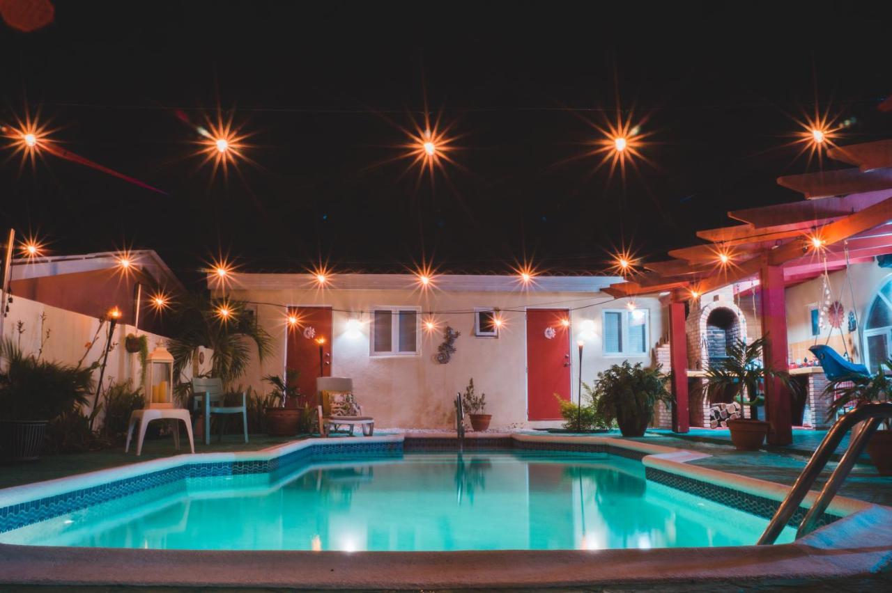 Courtesy Apartments Aruba اورانجستاد المظهر الخارجي الصورة