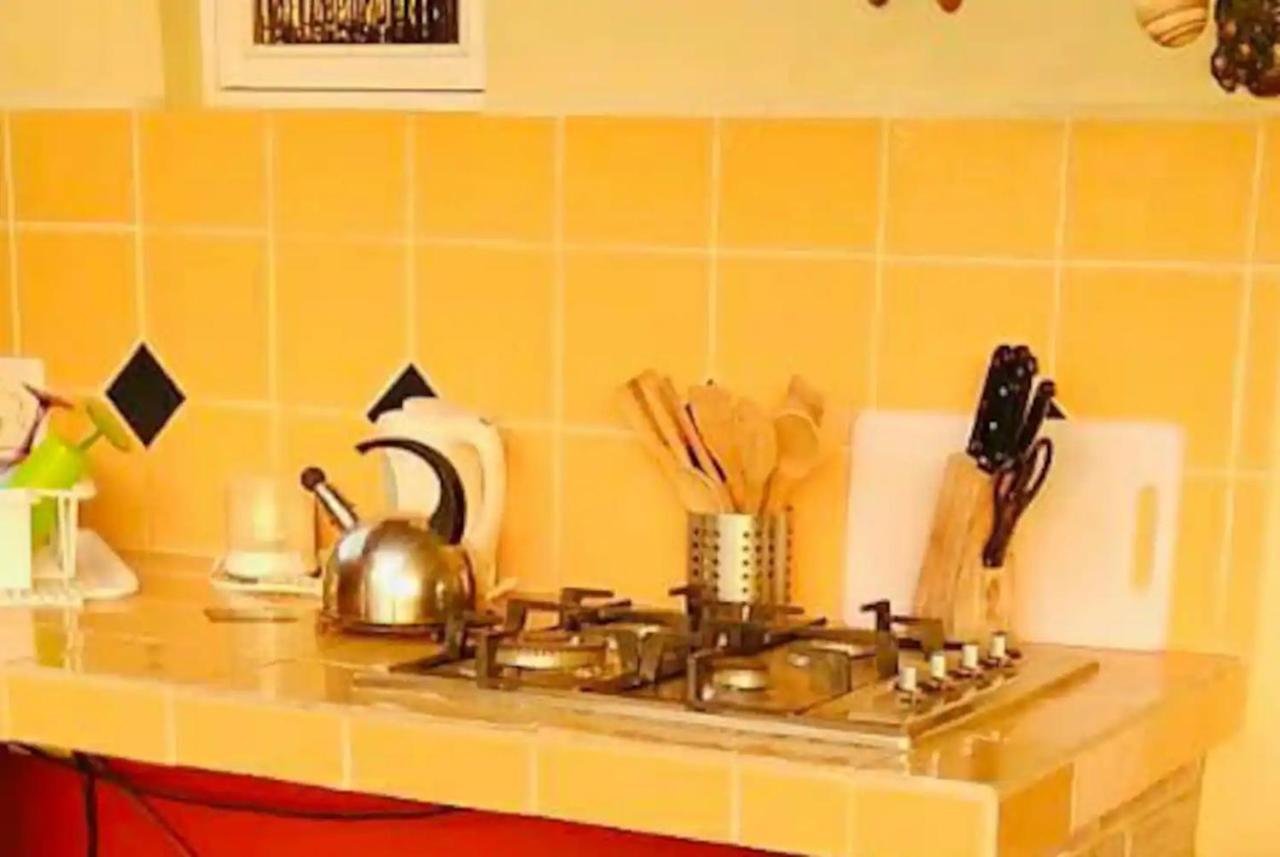 Courtesy Apartments Aruba اورانجستاد المظهر الخارجي الصورة