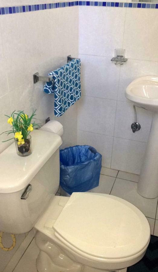Courtesy Apartments Aruba اورانجستاد المظهر الخارجي الصورة